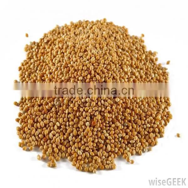 China supply operation easy millet and sorghum milling machine