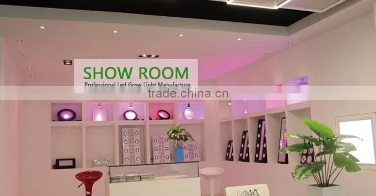 UV Light Lamp Malaysia Greenhouse Horticulture Used LED Grow Light
