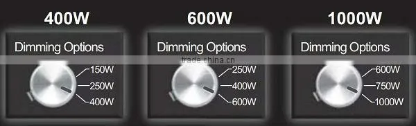 Fluorescent light ballast,growing ballast 1000w
