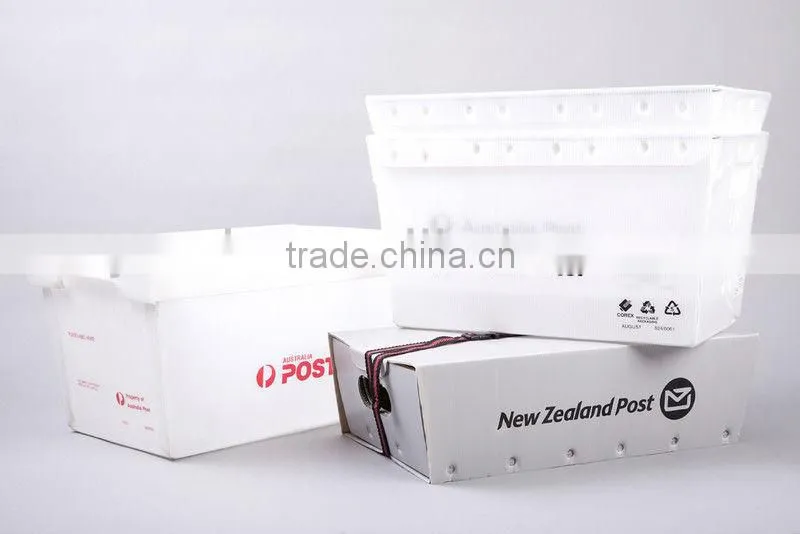 PP Layer Pad, Layer Pads, Plastic Layer Pads, corrugated plastic layer pad