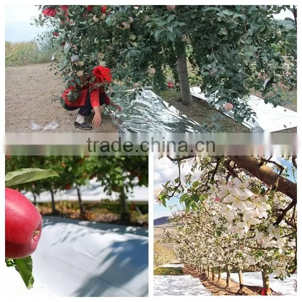 high quality agricultural reflective silver mulch film