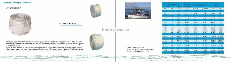 Polyester ropes for boat rigging and dock lines