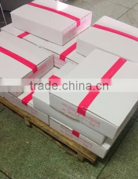 Frozen Skiness Giant Squid Fillet