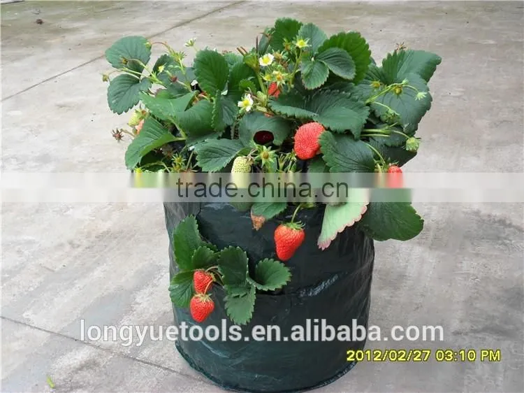 Disposable environmental cheap PE plastic grow bags fabric