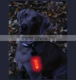 Lighted Tag Light