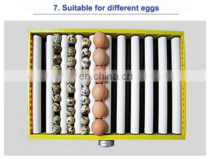 Chicken, Reptile, Bird, Emu, Ostrich, Duck Usage Egg Incubator and Hatcher