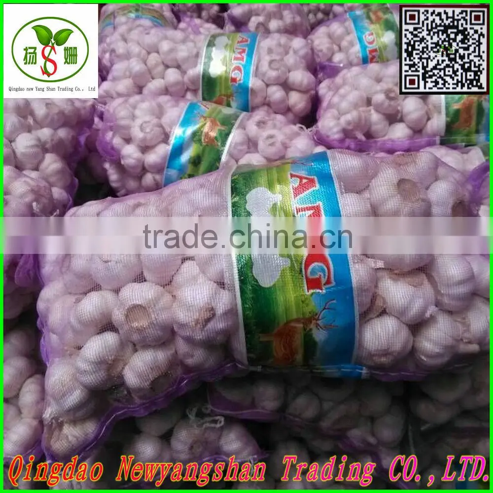 Pollution-free garlic/pure white garlic, garlic exports
