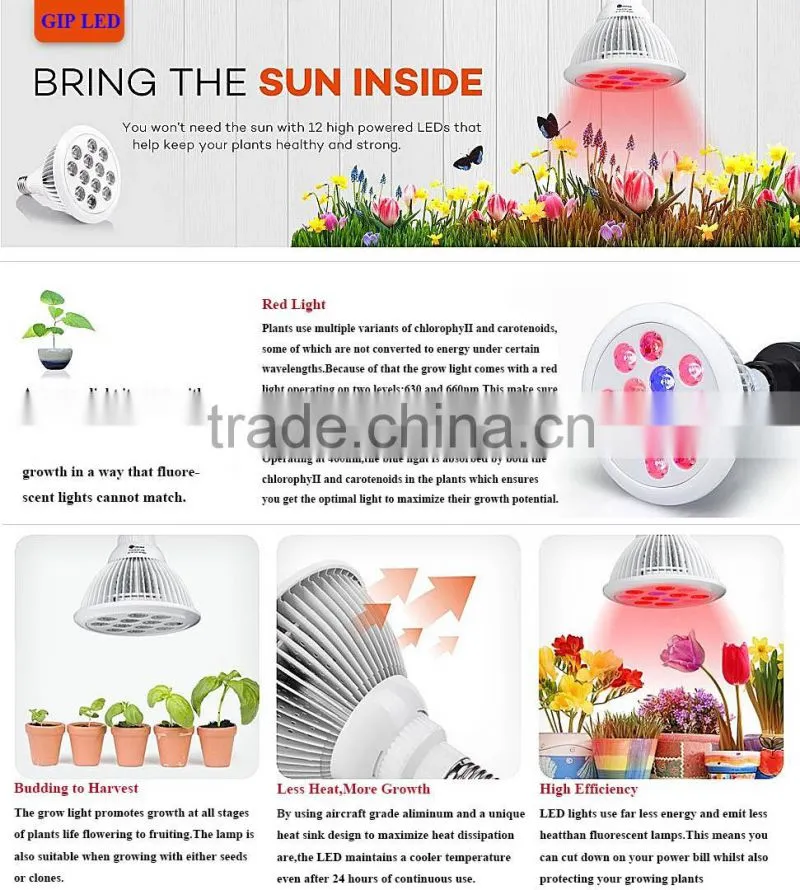 Greenhouse red blue e27 24w 12w led grow light 24w 12w e27 led grow lights for indoor plants