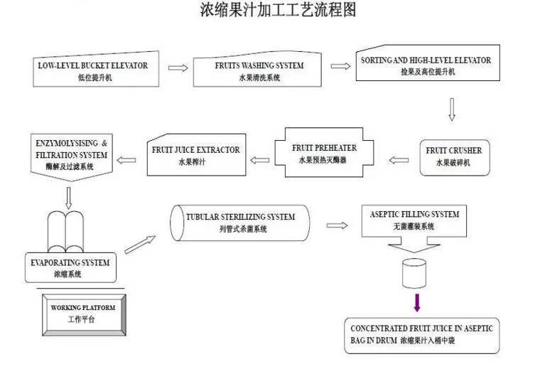 Automatic Carrot Juice PUREE PASTE Production Line