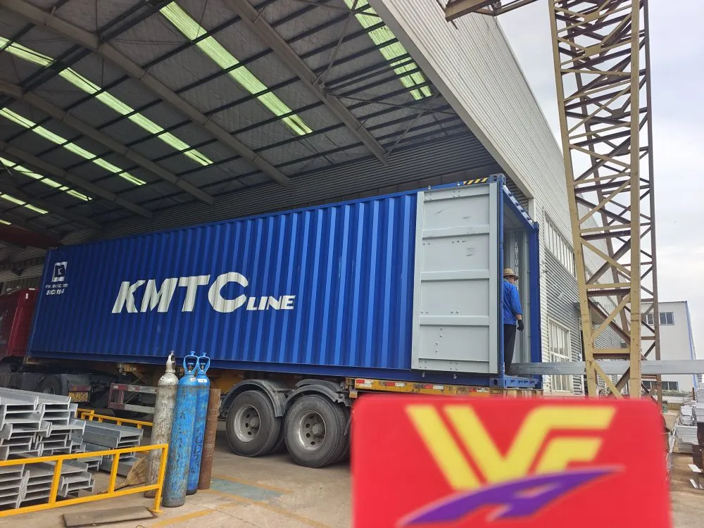 WFA Successfully Delivers 50 Head Per Shift Cattle Slaughterhouse Equipment for Client in Zamb