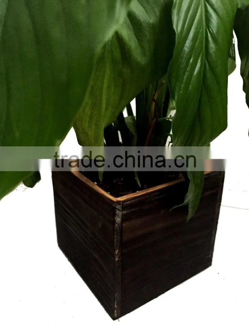 set of 2 flower pots, pots garden, wood plant pots