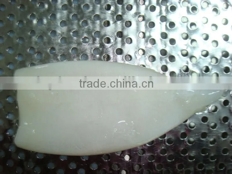 Frozen Squid Tube fish