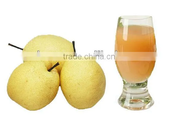 Industrial automatic pear juice processing plant for pear,carrot,pineapple,etc.