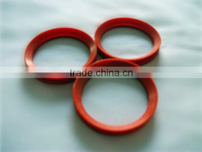 hydraulic gasket seal