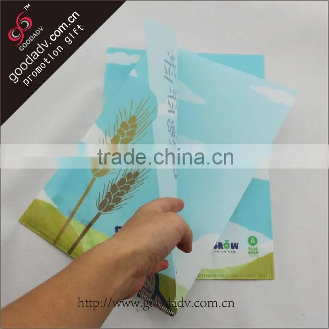 New products for 2013 pretty hot sale cheaper fashionable pp file folder