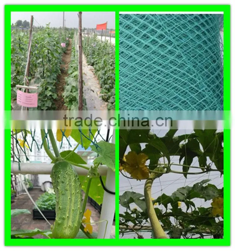 wholesale extruded plastic cucumber climbing net made in China