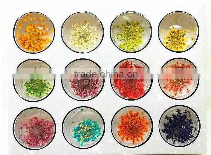 Hot sell nail art natural dried flowers for nail art decoration,nail accessory ZX:GH748