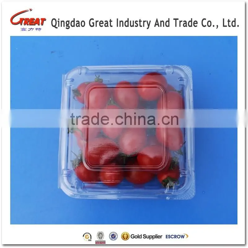 Regular Plastic Small Square Fruit Bluebrries Container