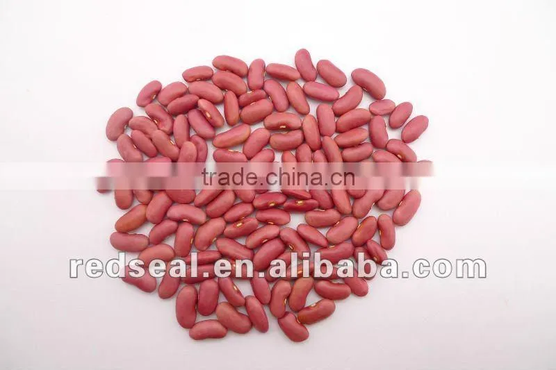 Organic pink kidney beans 2016