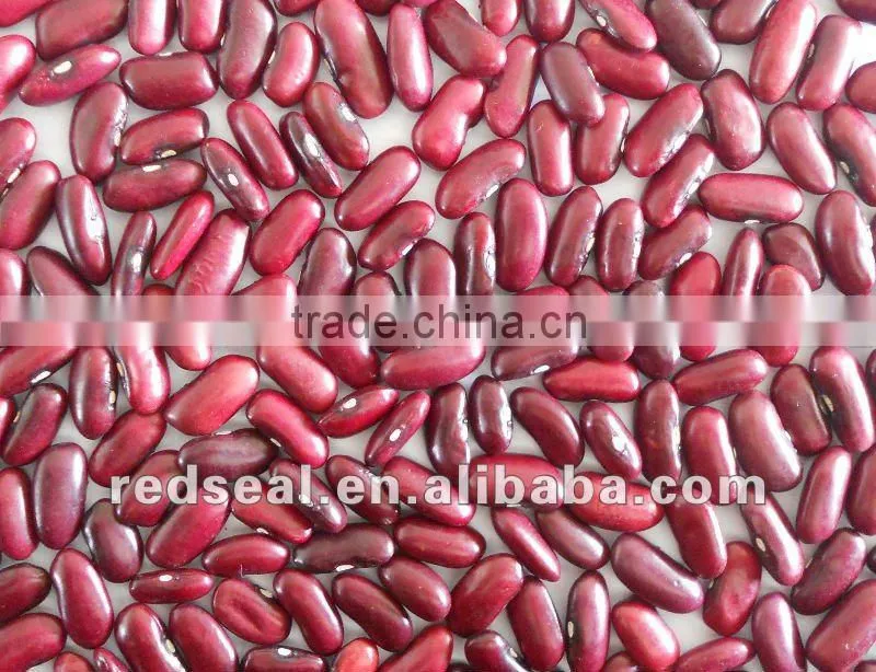 New crop dark red kidney beans