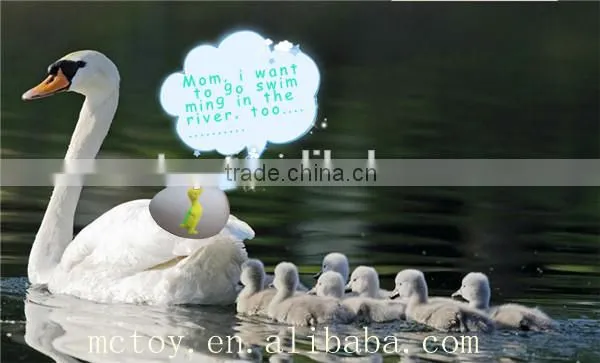 small growing dinosaur eggs toy in water growing duck egg