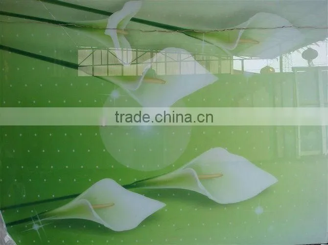 4.8MM tempered glass