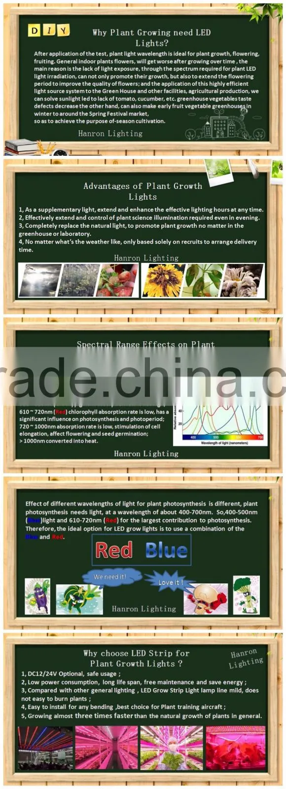 Shenzhen Factory Growing Lights LED 3w LED Grow Light for Growing