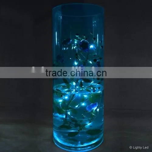 Submersible LED Colorful Strand Light / Submersible LED String Light