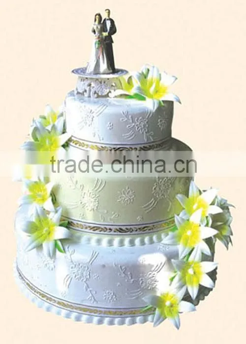 Emulational Cake/ Simulation Cake