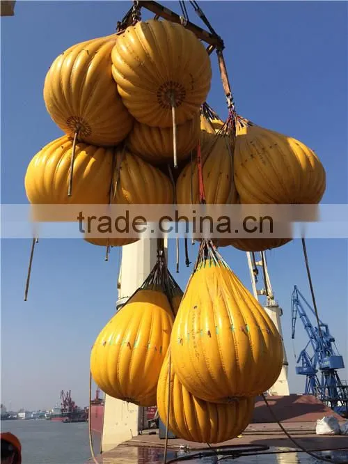 Portable crane digital water testing water quality testing
