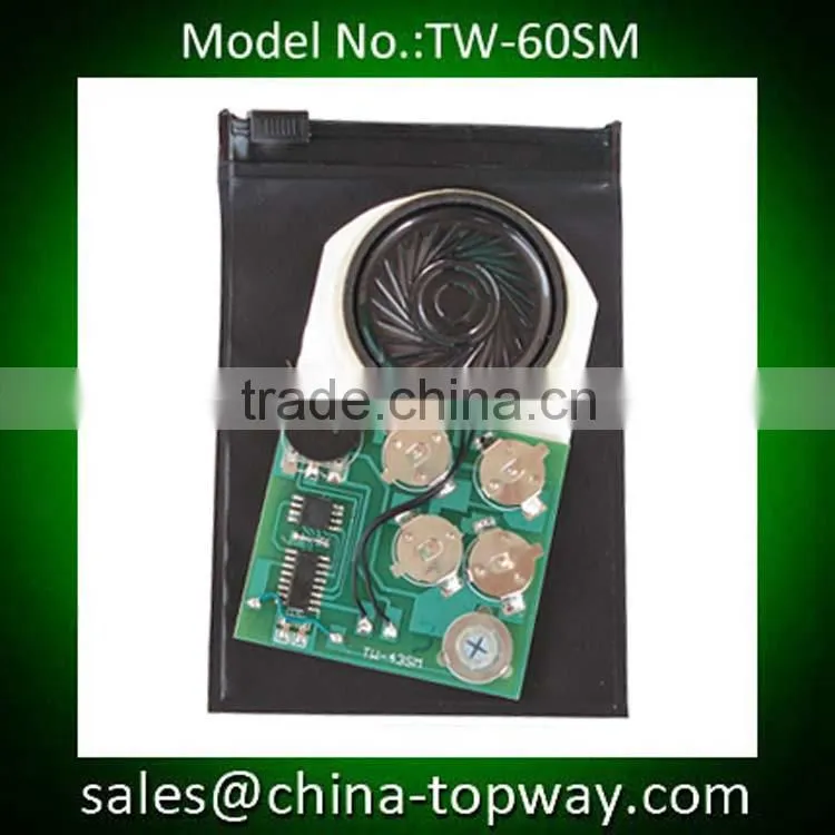 Electronic music module for greeting cards