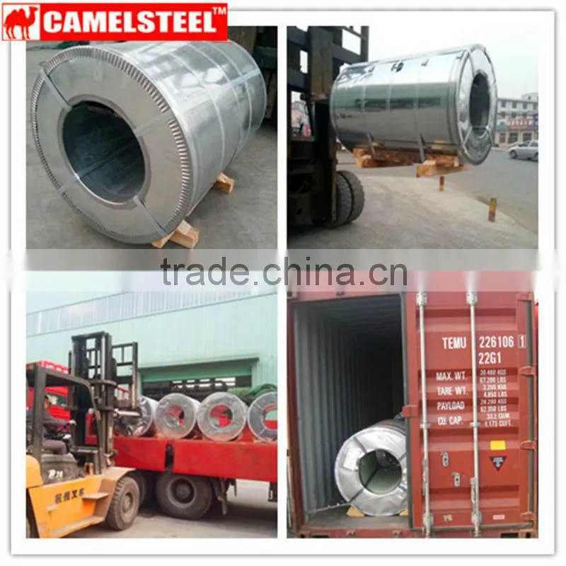 Competitive price galvanized ppgi steel coils in china