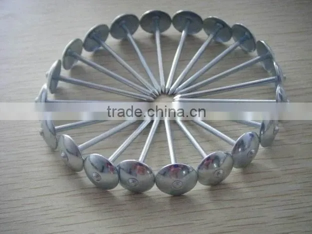 BWG9*2.5'' galvanized umbrella head twisted shank roofing nails