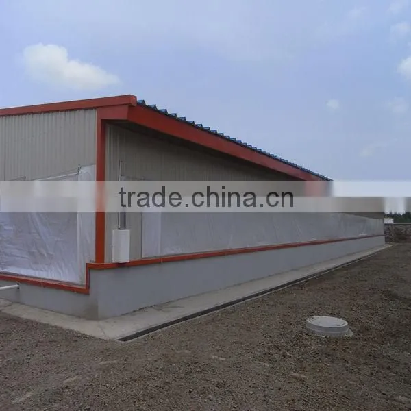Full automatic poultry equipment for breeder chicken