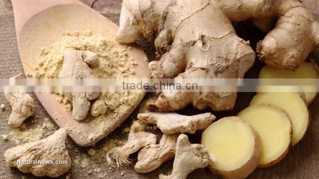 Fresh Ginger