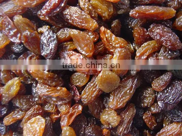 Red brown raisins New crop 2012