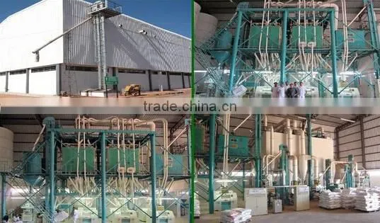 flour mill plant with automatic packing machine