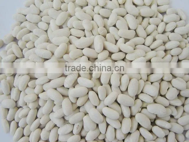 Price of white kidney bean 2014 crop white bean