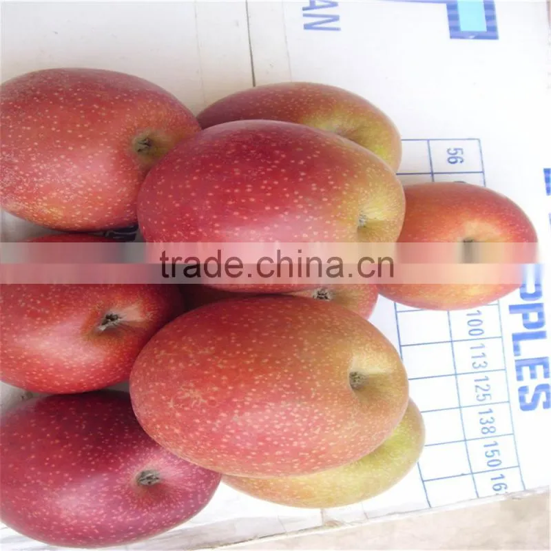 New Crop Chinese Fresh Apple Red Star Apple Apple