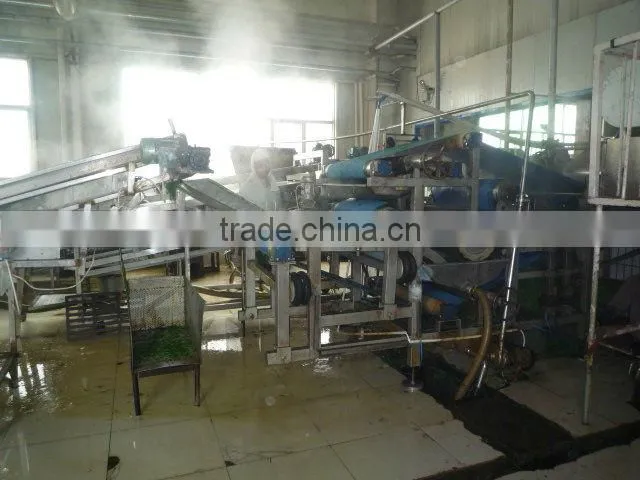 Health Drink Organic Wheat Grass Powder