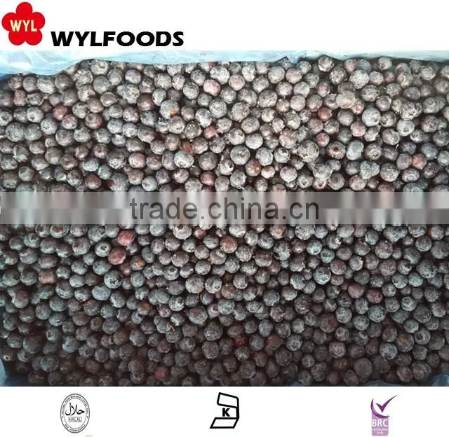 delicous snack frozen samosa high quality
