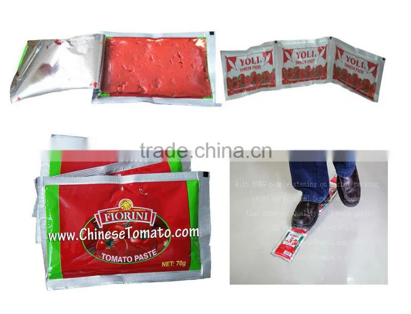 70G Pouch Low Price Tomato Paste from China factory