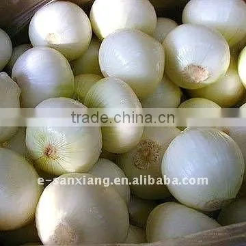 10*10mm iqf onion dice