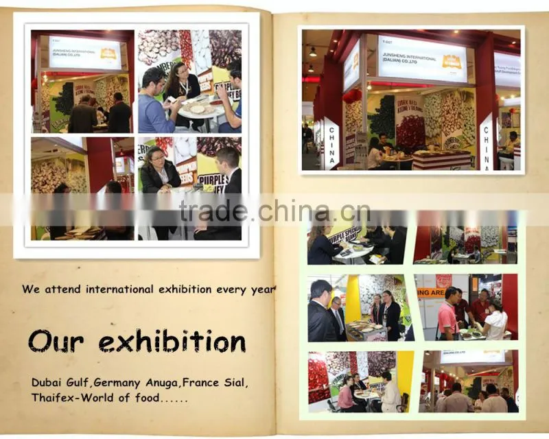 Marketing Of Agro Products Red Speckled Kidney Beans