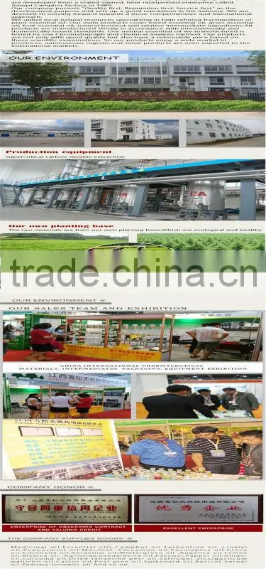 Azone laurel berry oil for insecticidal and bactericidal agent
