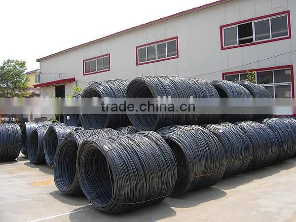chicken egg poultry farm
