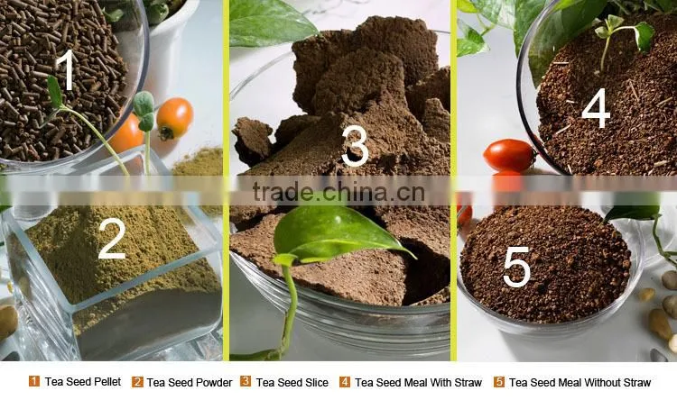 Tea Seed Fertilizer for Sport Turf