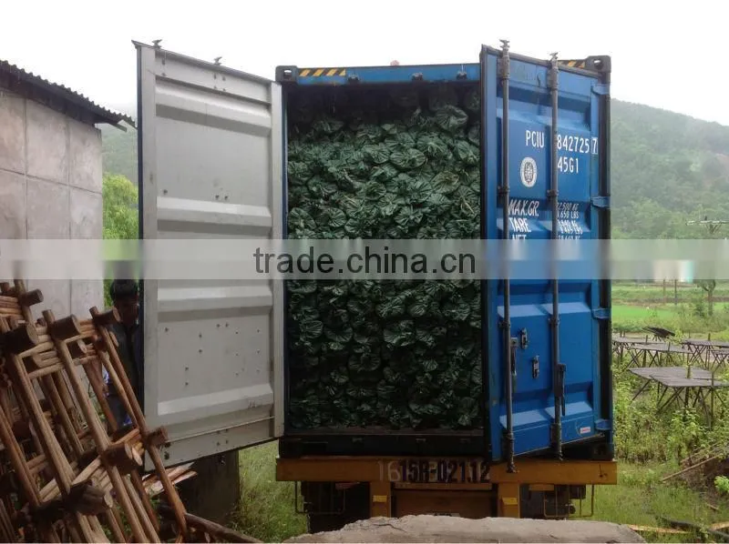 Wooden broom stick produce completely natural, no PVC coated origin of Vietnam