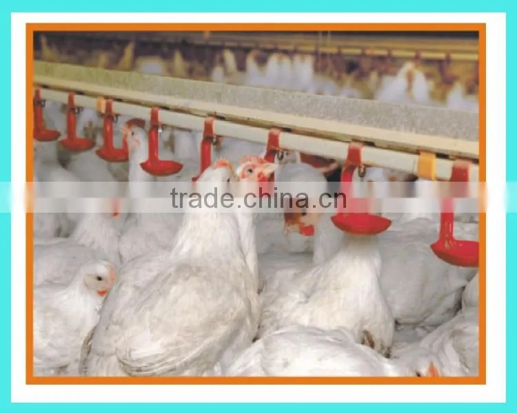 feeding pan and drinker system sale for indian poultry farm machinery