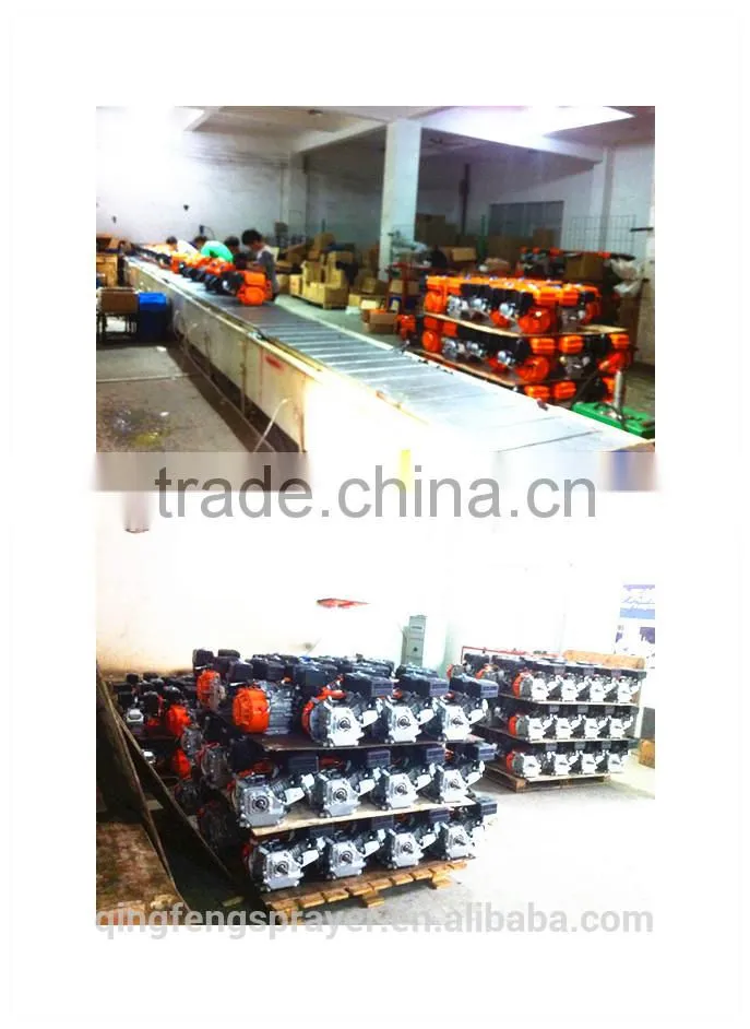 gasoline engine QF-168-5.5